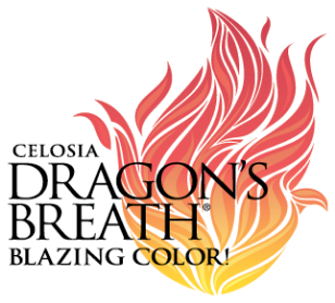 Celosia Dragon's Breath logo